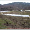 용암2리 이미지