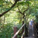 와운통나무산장가든 이미지