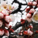 김해건설공업고등학교 이미지