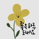 특사체육관 네이버블로그