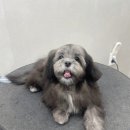 애니테티카 이미지