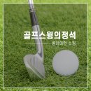 스윙골프아카데미 연습장 이미지