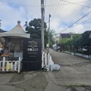 제이든 29 이미지