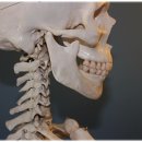 대전메디컬 이미지