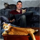 The Cats & Dog 이미지