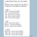 케윗