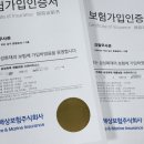 강철태권도체육관 이미지