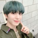 강찬희 카카오 검색결과