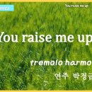 you raise me up tremolo harmonica / 유레이즈미업 하모니카연주 박정금 이미지