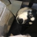 빈스 앤 멍 이미지