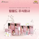 탑월드주