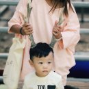 이동국농장 이미지