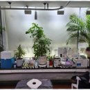 강남안마원 이미지