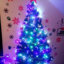 솔게스트하우스 정동진점 이미지