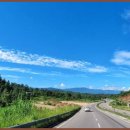 모리폴리 이미지