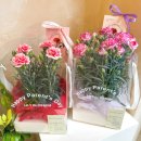 어버이날을 위한 감성 플라워박스 이미지