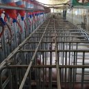 명현농장(2) 이미지