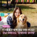 강생이랑 | 반려동물과 경남 여행 떠나요! 경남 여행지도 ‘강생이랑 갱이랑’