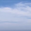 해인물회식당 이미지