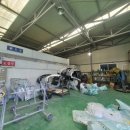 배곧에이플러스 이미지