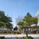 모루도서관 강의실(문화의집 문화감상실) | 구포도서관 정보 및 방문 후기 (부산 북구 도서관)