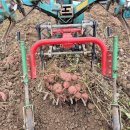 서촌농장 이미지