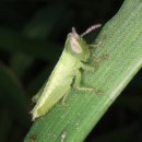 성룡농장 이미지