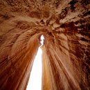 석림4로 이미지