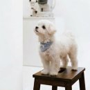 광안동물병원 이미지