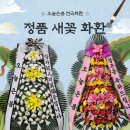 서울정병원 이미지
