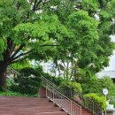 윤산중학교 이미지