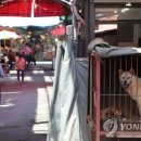 구포정비 이미지