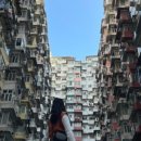 돈돈가든 이미지