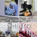 울산 태화강 국가정원 사진관 키즈사진전문 아이스튜디오 촬영후기