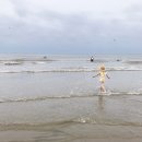 야호수산 이미지