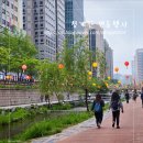 펀펀한 공원 앞 | 청계천 연등행사 2025 서울 야경 데이트 코스로 추천