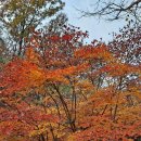 도덕산공원 이미지