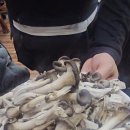 진국농장 이미지