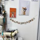 서울펫츠베이 이미지