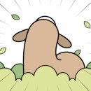 파로호생태마을 이미지