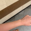 루나뷰티 - 군산시 상지곡안4길 41-4 | 루나뷰티