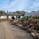 백년전에관광농원 이미지