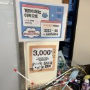 강아지&고양이 마을 | 잠실 놀거리 유기묘들이 있는 의미있는 고양이카페 ‘길고양이마을 잠실점’ #사지말고입양하세요