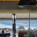 신산리-5 | 제주 동쪽 카페 아오오 내돈내산으로 신산리 주민 직접 다녀온 후기