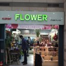 FLOPORT