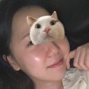 OK그린팩 | 🔥SNS🔥 핫 대란템 !! 그린토마토 클렌저팩 내돈내산 솔직 후기
