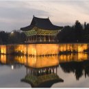 금성관광㈜ 이미지