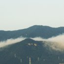 도시의 아침 이미지