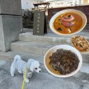 묵호중학교 | 동해 묵호 맛집 수희 강아지랑 갈 수 있는 묵호애견동반식당 후기