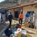 그루터기 이미지